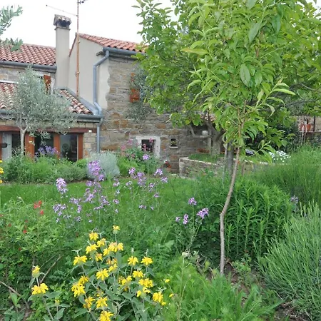 Istrian Stone House Holiday home