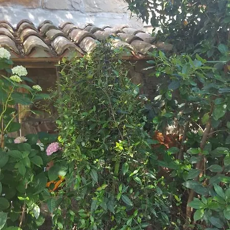Holiday home Istrian Stone House Secovlje