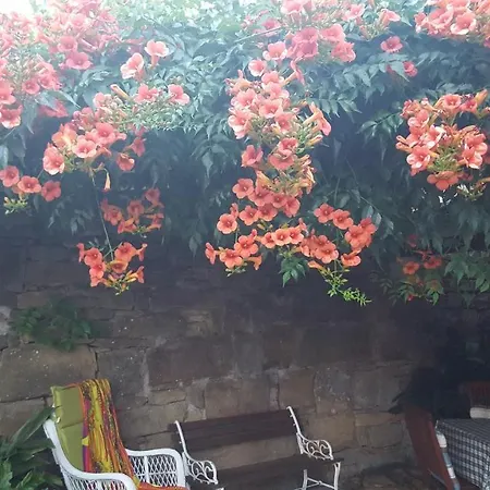 Istrian Stone House Holiday home