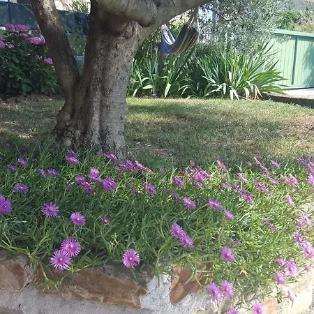 Istrian Stone House Holiday home Secovlje
