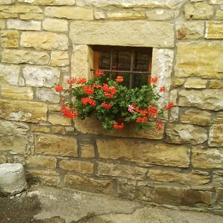 Holiday home Istrian Stone House Secovlje