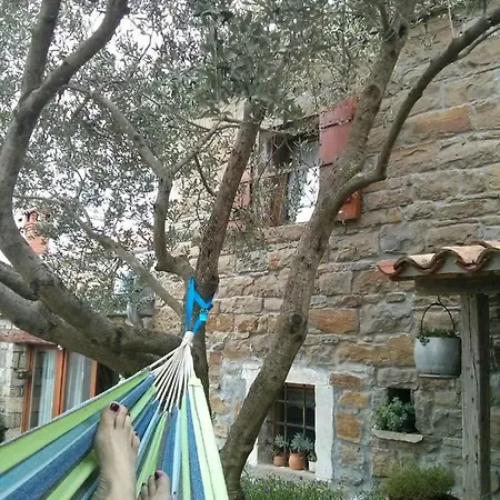 Holiday home Istrian Stone House Secovlje